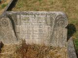 image of grave number 737328